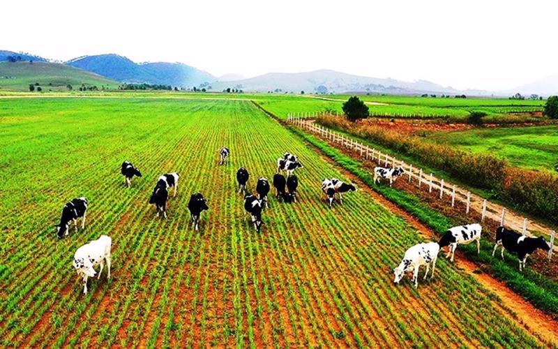 Vietnam has invested strongly in the field of agriculture in Laos.