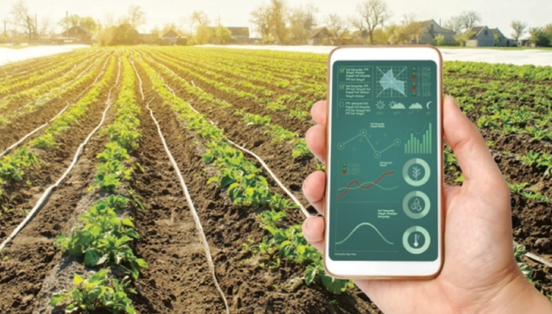 Digitalization an aid in product traceability