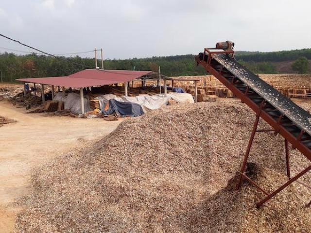 Nhiều cơ sở chế biến dăm gỗ tại Quảng Trị hoạt động nhưng chưa có quyết định đầu tư, chưa có đánh giá tác động môi trường 