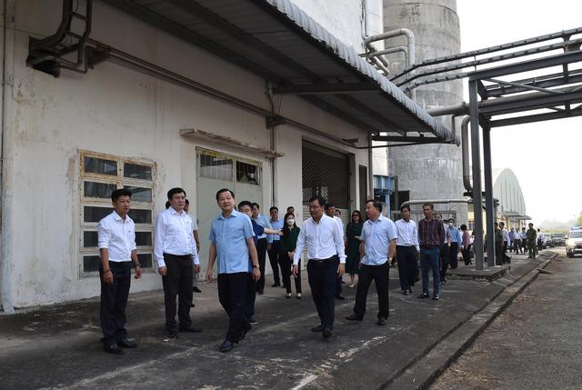 Phó Thủ tướng Lê Minh Khái, Trưởng ban Chỉ đạo xử lý dứt điểm Dự án nhà máy bột giấy Phương Nam
