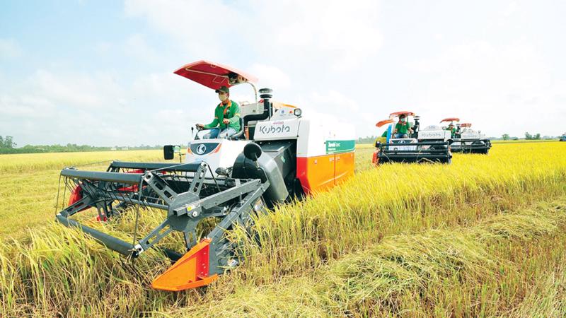 Cơ giới hóa, ứng dụng tiến bộ kỹ thuật là hướng đi tất yếu trong trồng lúa.