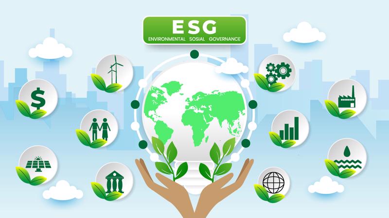 ESG là khái niệm mới với các doanh nghiệp vùng Đồng bằng sông Cửu Long.