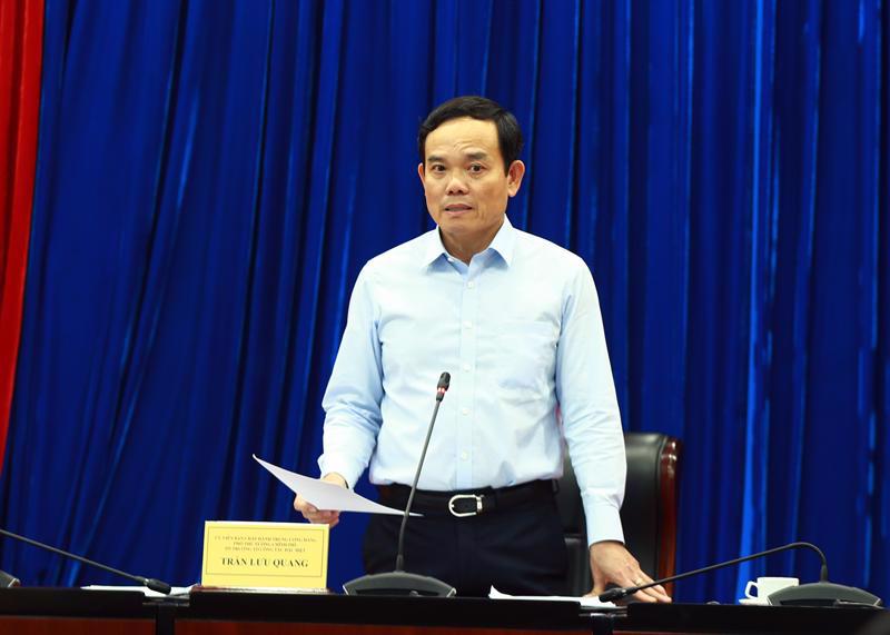 Deputy Prime Minister Tran Luu Quang chairing the meeting. Photo: VGP