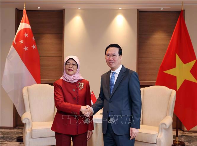Chủ tịch nước Võ Văn Thưởng gặp Tổng thống Singapore Halimah Yacob - Ảnh: TTXVN.