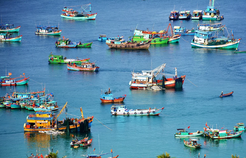 Tính đến hết tháng 4/2023, cả nước có 86 nghiệp đoàn nghề cá cơ sở tại 16/28 tỉnh, thành phố có biển.