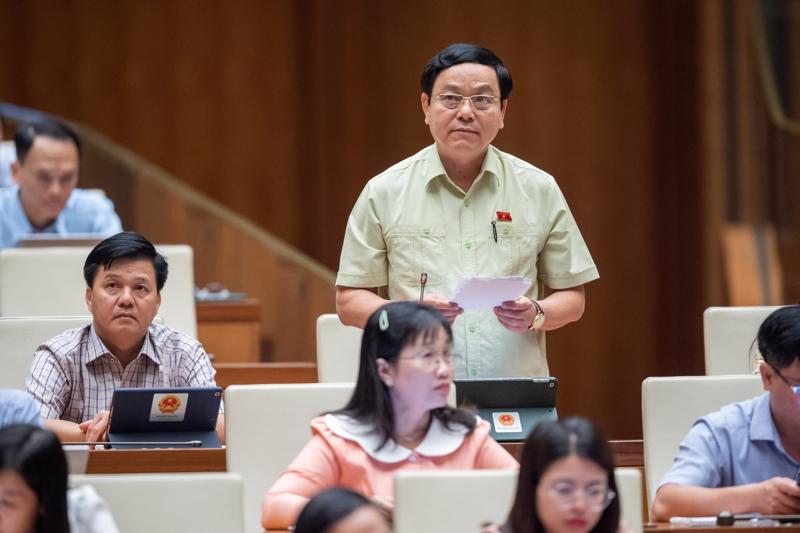 Đại biểu Hoàng Đức Thắng tại phiên thảo luận sáng ngày 23/5 - Ảnh: Quochoi.vn