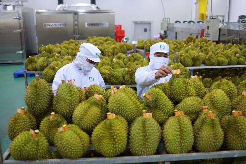 Durian exports recorded the highest growth among fruit and vegetables shipped overseas in the first quarter.