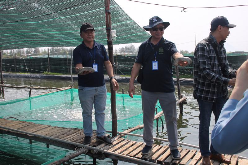 TS Nguyễn Đình Quang Duy (ngoài cùng phía trái) giới thiệu quy trình ương nuôi hải sâm.