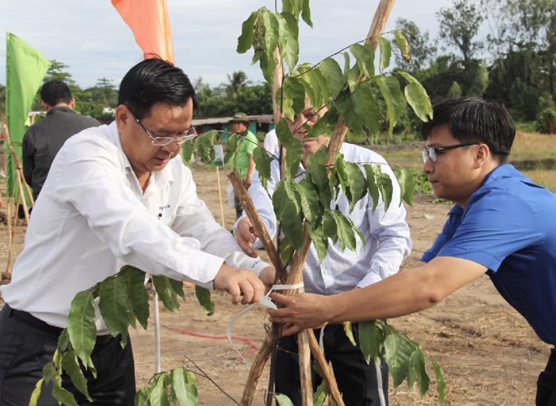 Trồng cây giúp hình thành nhiều tuyến đường nông thôn kiểu mẫu. 