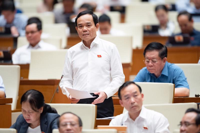 Phó Thủ tướng Chính phủ Trần Lưu Quang phát biểu tại phiên chất vấn sáng 7/6. Ảnh: Quochoi.vn