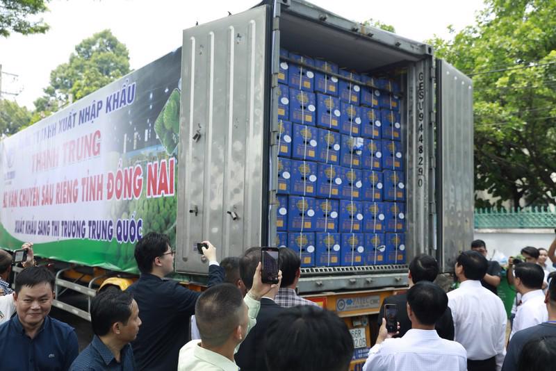 Durian being transported to China by container truck. Photo nhandan.vn