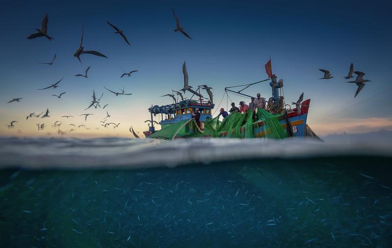Hình ảnh đánh lưới vây trên biển của ngư dân sống tại Hòn Yến - Phú Yên. Tác giả: Trần Bảo Hòa.