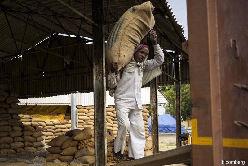 Ấn Độ hiện chiếm khoảng 40% thương mại gạo toàn cầu - Ảnh: Getty Images