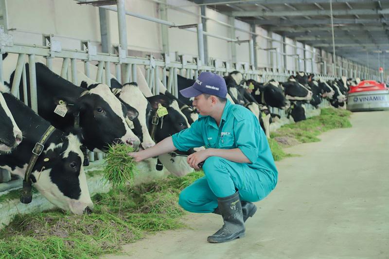 Sản lượng sữa tươi của Việt Nam đạt 1,2 tỷ lít vào năm 2021 và sẽ tăng lên 2 tỷ lít vào năm 2030.