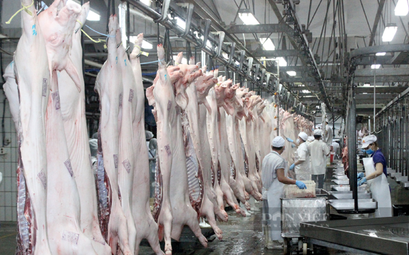 Vietnam to build farms of international standard