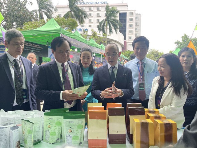 Quang Tri hopes to attract Thai investors in fields of strength