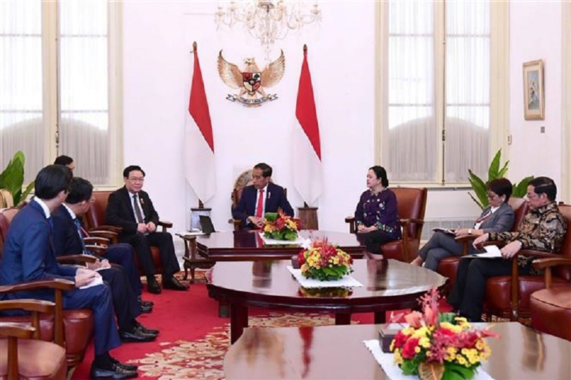 Chủ tịch Quốc hội Vương Đình Huệ và Tổng thống Indonesia Joko Widodo bày tỏ vui mừng về sự phát triển nhanh chóng, hiệu quả của quan hệ Đối tác Chiến lược Việt Nam - Indonesia trên tất cả các lĩnh vực then chốt.