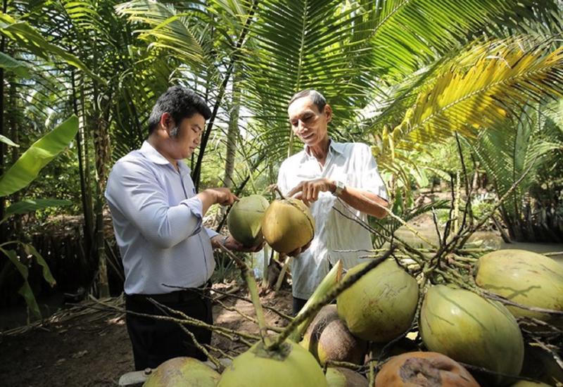 In 2022, Vietnam's coconut export turnover will reach 900 million USD, making our country the fourth largest exporter of coconut products in the Asia-Pacific region.