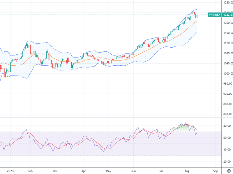 VN-Index và chỉ báo kỹ thuật RSI.