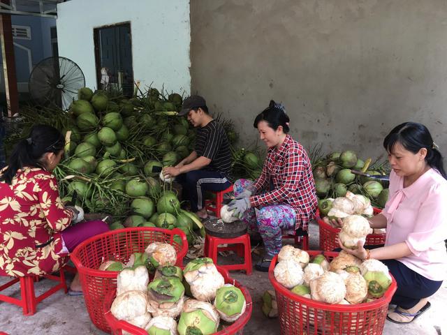 De-husking fresh coconuts in Ben Tre province.