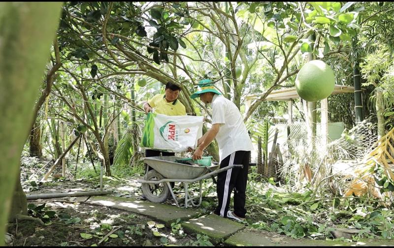 Cán bộ kỹ thuật phân bón Cà Mau luôn đồng hành cùng bà con trong từng giai đoạn phát triển của vườn cây.