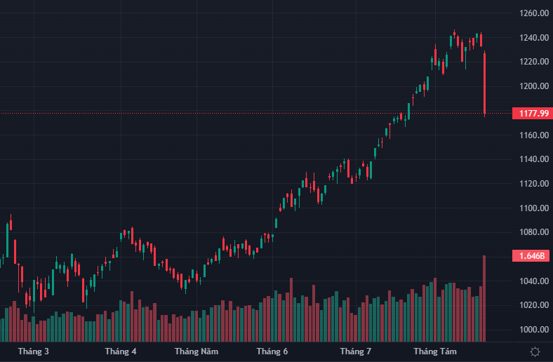 VN-Index có một phiên giảm rất sốc.