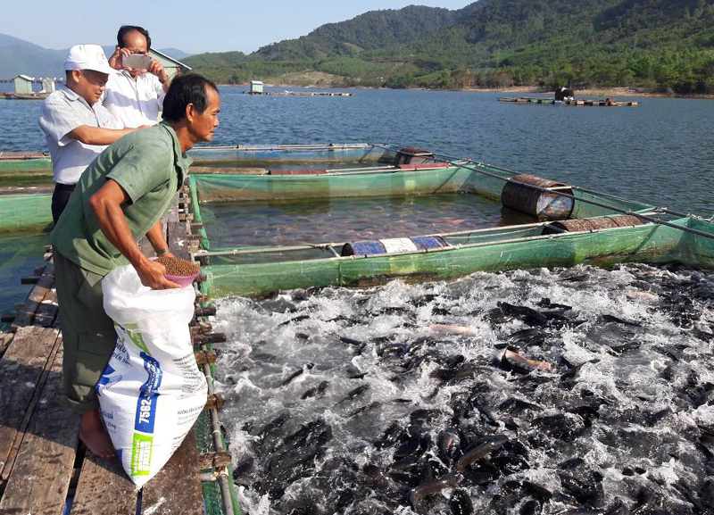 Aquaculture is a growing industry in Vietnam.