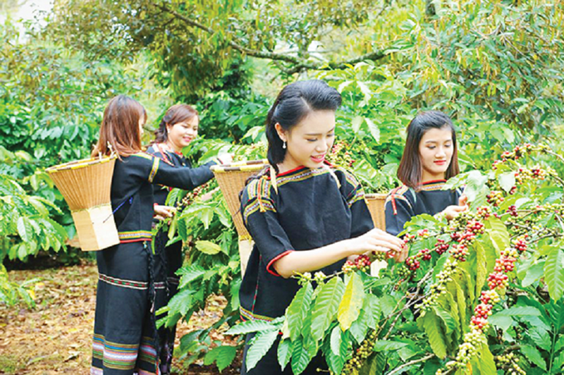 Cà phê Việt ngày càng tạo được uy tín cao trên thương trường quốc tế.