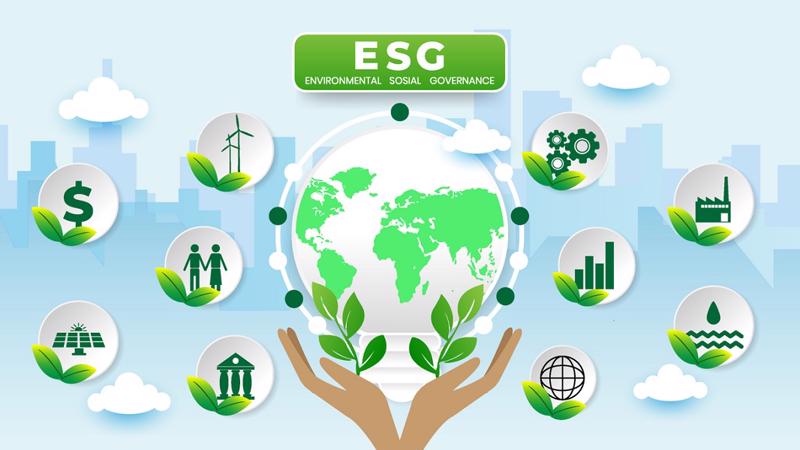 Phần lớn các doanh nghiệp niêm yết được nghiên cứu ở Việt Nam đều công bố mục tiêu ESG ngắn hạn và trung hạn.