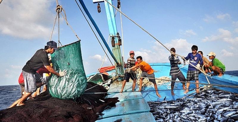Đánh bắt hải sản phải tuân thủ pháp luật Việt Nam và pháp luật quốc tế.