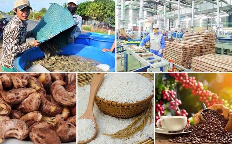 Sản phẩm nông sản của Việt Nam đã có mặt tại 200 quốc gia và vùng lãnh thổ trên thế giới.