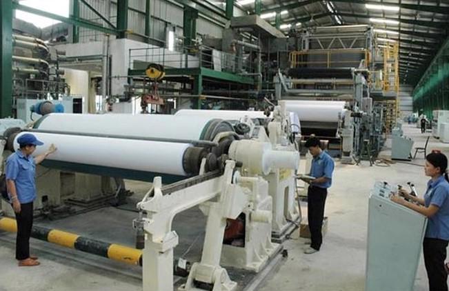 Đa số các doanh nghiệp vẫn phải nhập lại bột giấy thành phẩm về làm nguyên liệu sản xuất giấy 