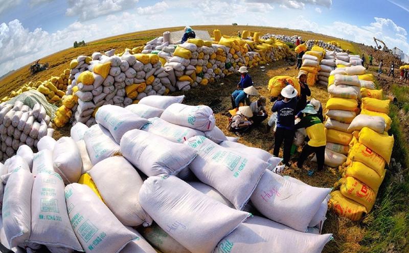 Xuất khẩu gạo đã thiết lập kim ngạch kỷ lục 3,66 tỉ USD.