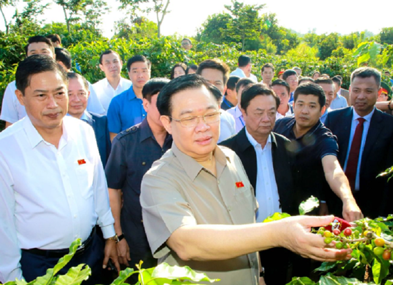 Chủ tịch Quốc hội Vương Đình Huệ thăm vườn trồng cà phê của nông dân ở Sơn La.