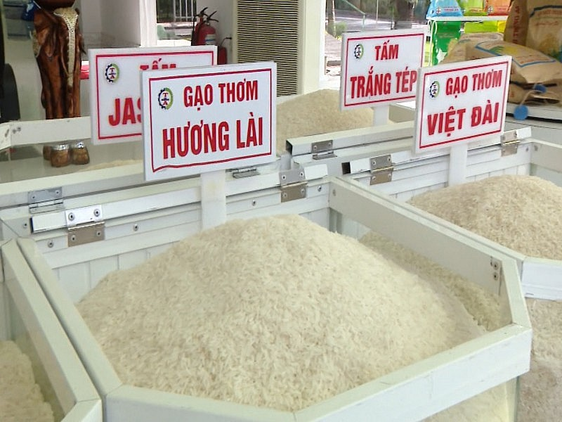 Giá gạo trong nước tăng theo giá gạo xuất khẩu đẩy CPI tháng 10 tăng nhẹ.