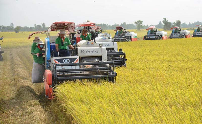 Việt Nam là quốc gia có nền tảng nông nghiệp đa dạng. Ảnh minh hoạ.