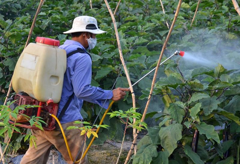 Sử dụng thuốc sinh học là tiền đề để thực hiện hiệu quả việc phát triển sản xuất.