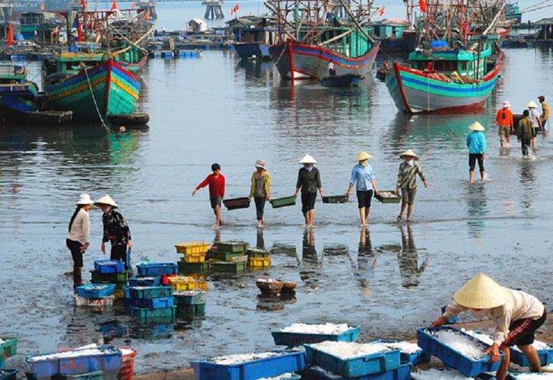Cùng với việc cắt giảm tàu cá để bảo vệ nguồn lợi, các địa phương cần quan tâm đến đời sống sinh kế của ngư dân. 