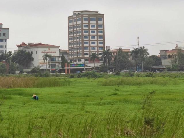 Dự án khu dân cư kết hợp công viên thể thao Đình Hương, TP.Thanh Hóa, một trong những dự án bị bãi bỏ