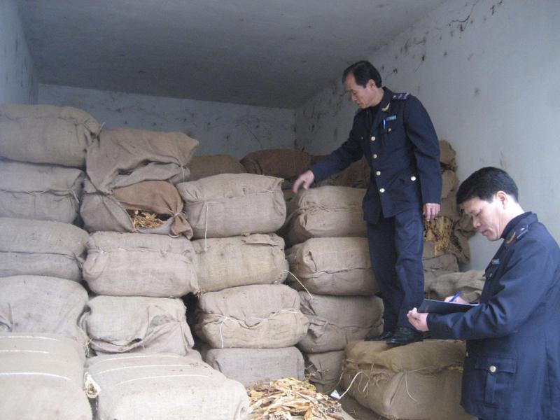 Cán bộ đội Kiểm soát hải quan tại Cao Bằng kiểm đếm số thuốc lá lá nhập lậu bị thu giữ.