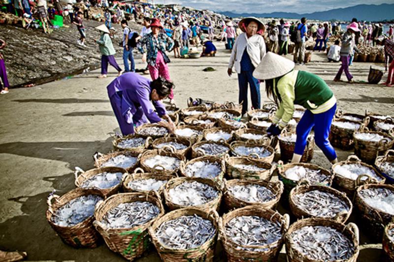 Ngư dân Bình Thuận đồng quản lý nguồn lợi và khai thác hải sản.