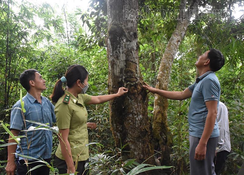 Thực hiện giao đất, giao rừng sẽ tạo sinh kế cho người dân, giúp xóa đói giảm nghèo.