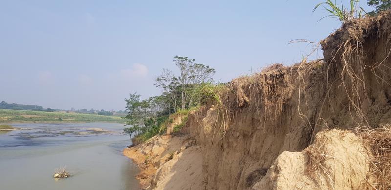 Bờ sông Chu đoạn thôn Hải Mậu, xã Thọ Hải, huyện Thọ Xuân (Thanh Hóa) bị sạt lở nghiêm trọng