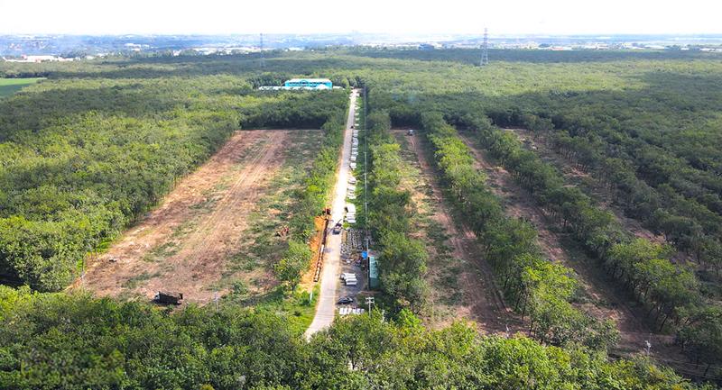 Khu tái định cư đầu tiên tại xã Long Đức, huyện Long Thành, tỉnh Đồng Nai, với quy mô diện tích gần 30 ha đã được khởi công vào tháng 2/2023.