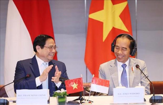 Prime Minister Pham Minh Chinh and President Joko Widodo at the high-level business dialogue in Hanoi on January 13. (Photo: VNA)