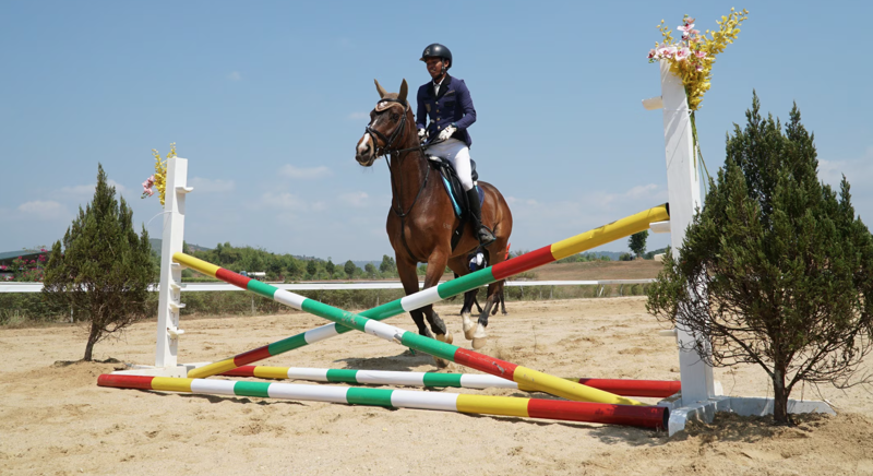 Ngựa biểu diễn tại dự án Trường Đua ngựa Thiên Mã – Madagui – Câu lạc bộ Polo (tỉnh Lâm Đồng).