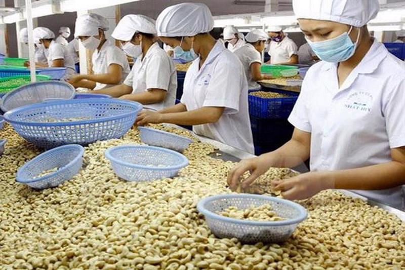Hạt điều là 1 trong 5 nhóm hàng xuất khẩu chính của Việt Nam sang Ả rập Xê út trong 10 tháng năm 2023. 