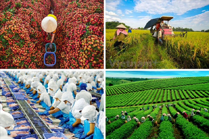 Việt Nam đang nỗ lực chuyển đổi, hướng tới phát triển nền nông nghiệp sinh thái, trung hòa carbon bên cạnh mục tiêu an ninh lương thực.