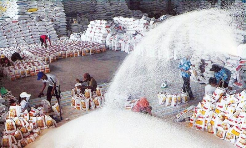 Năm 2023, Việt Nam đã xuất khẩu 8,13 triệu tấn gạo.
