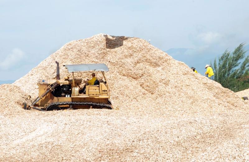 Wood chip production in northern Quang Ninh province. 
